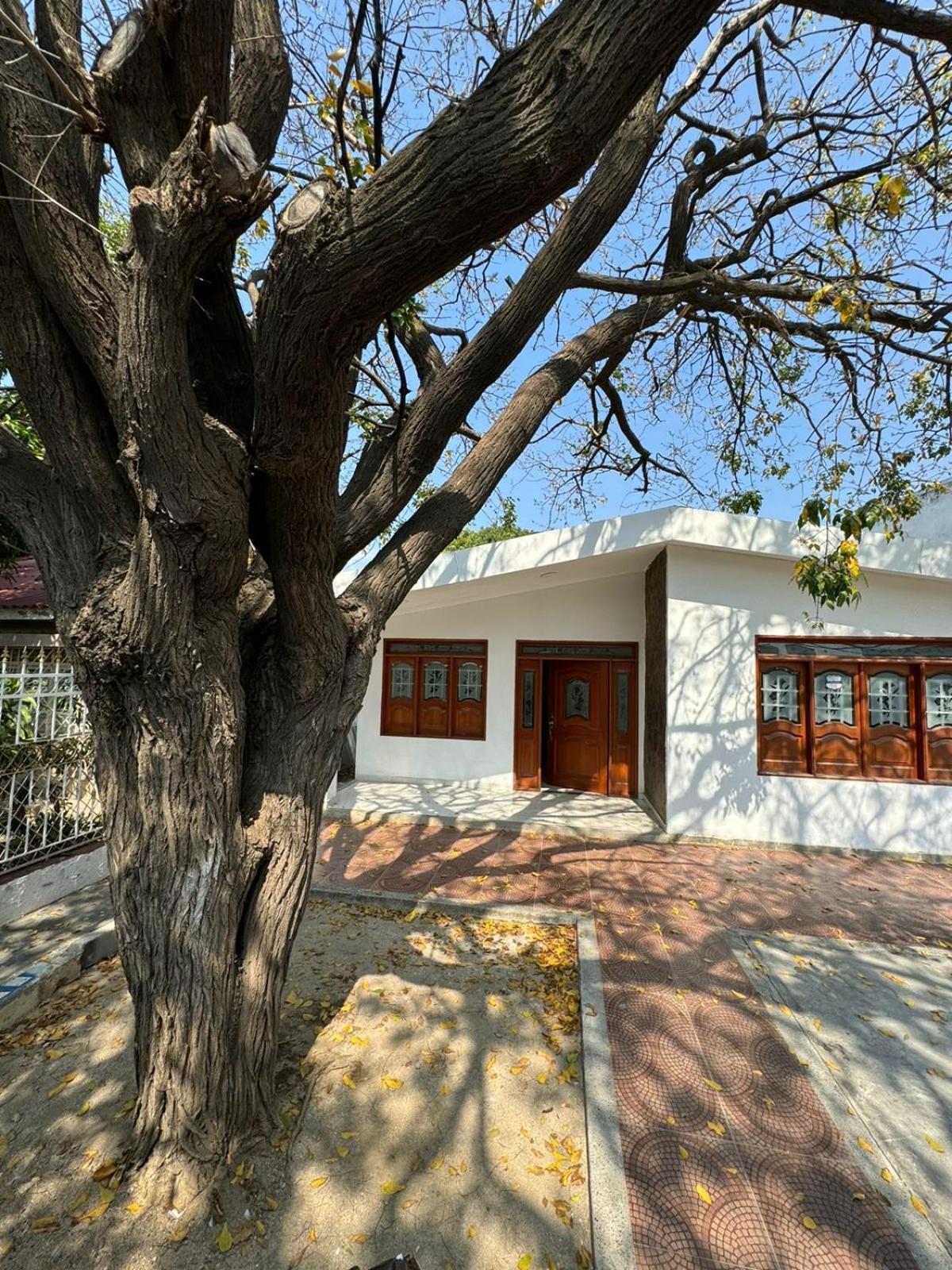 Calipso Dive And Pet Center Hotel - Santa Marta (Magdalena), Santa Marta
